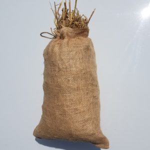 organic barley bale 16 oz