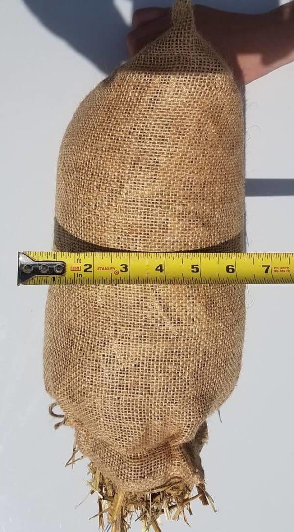 organic barley bale 16 oz width measurement